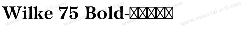 Wilke 75 Bold字体转换